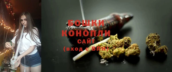 стаф Осташков