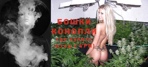 стаф Осташков