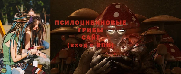 стаф Осташков