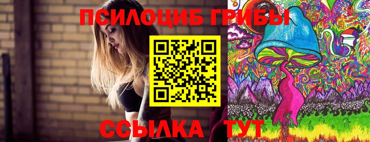 Псилоцибиновые грибы Cubensis  Вход с VPN  Сарапул 